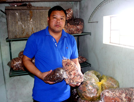 Kho chứa thuốc đã đóng gói