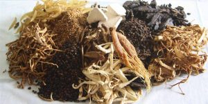 Thuốc Nam Chữa Gút Tốt Nhất Hiện Nay
