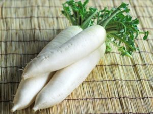 Củ cải - thực phẩm tốt cho người bệnh gút Củ cải