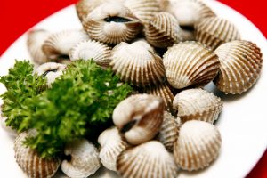 Ăn nhiều sò nguy cơ mắc bệnh Gút. Sò