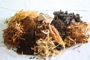 Thuốc nam chữa gút - Sử dụng thuốc nam chữa gút Thuốc nam chữa gút