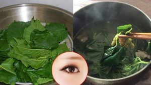 Cây dâu tằm luộc chữa bệnh Dau-tam-luoc