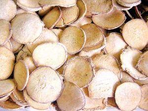 Thuốc trạch tả