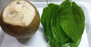 Dừa xiêm với lá trầu không