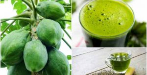Chữa gút từ trà xanh với đu đủ thuoc-chua-gut-tu-du-du-tra-xanh