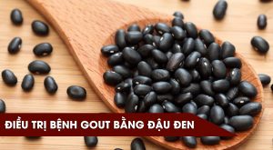 Đậu đen dieu-tri-gut-bang-dau-den