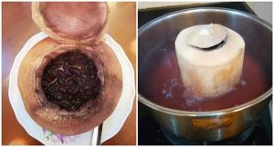 Bài thuốc trị đau khớp bệnh gút từ đậu đen kết hợp với nước dừa bai-thuoc-hap-dua-voi-dau-den